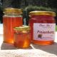 Pinienhonig 50g