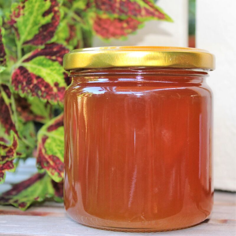 Thymianhonig 500g